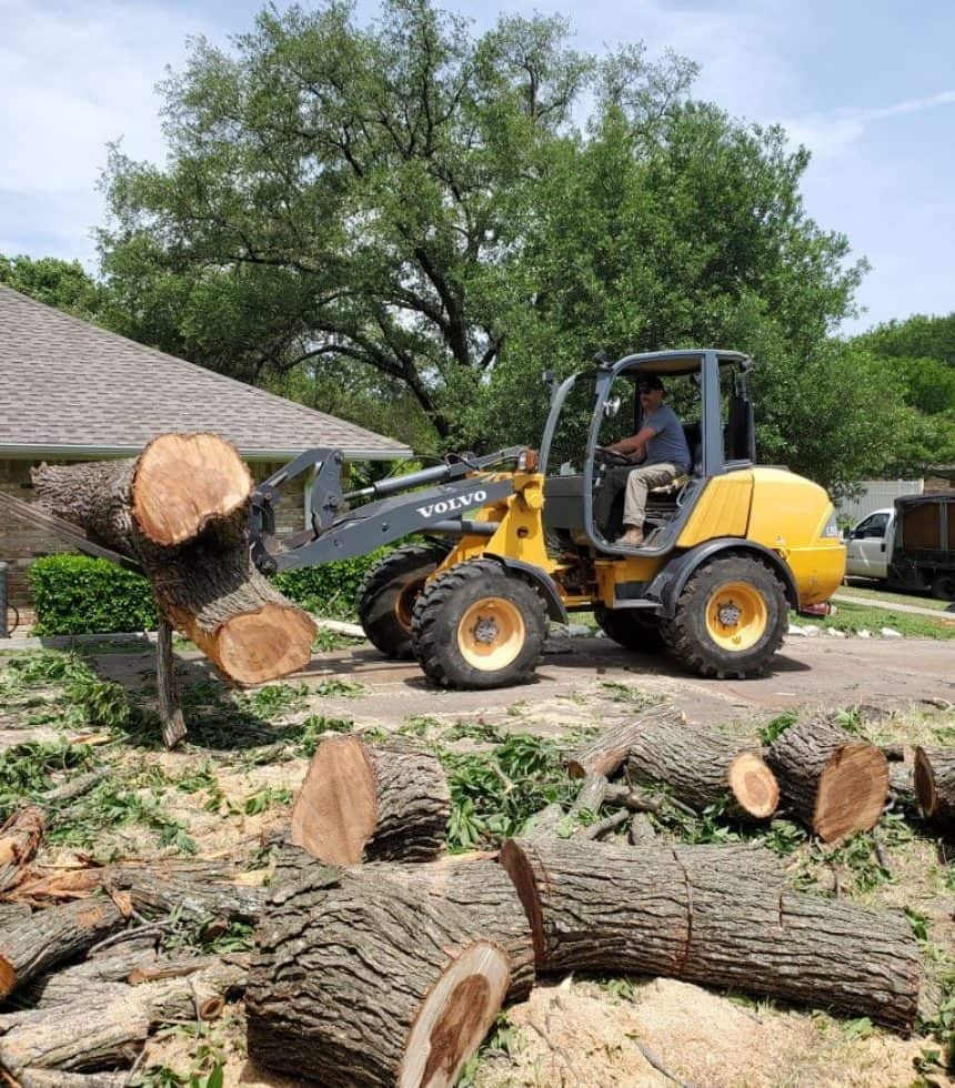 Rudy's Tree Service team